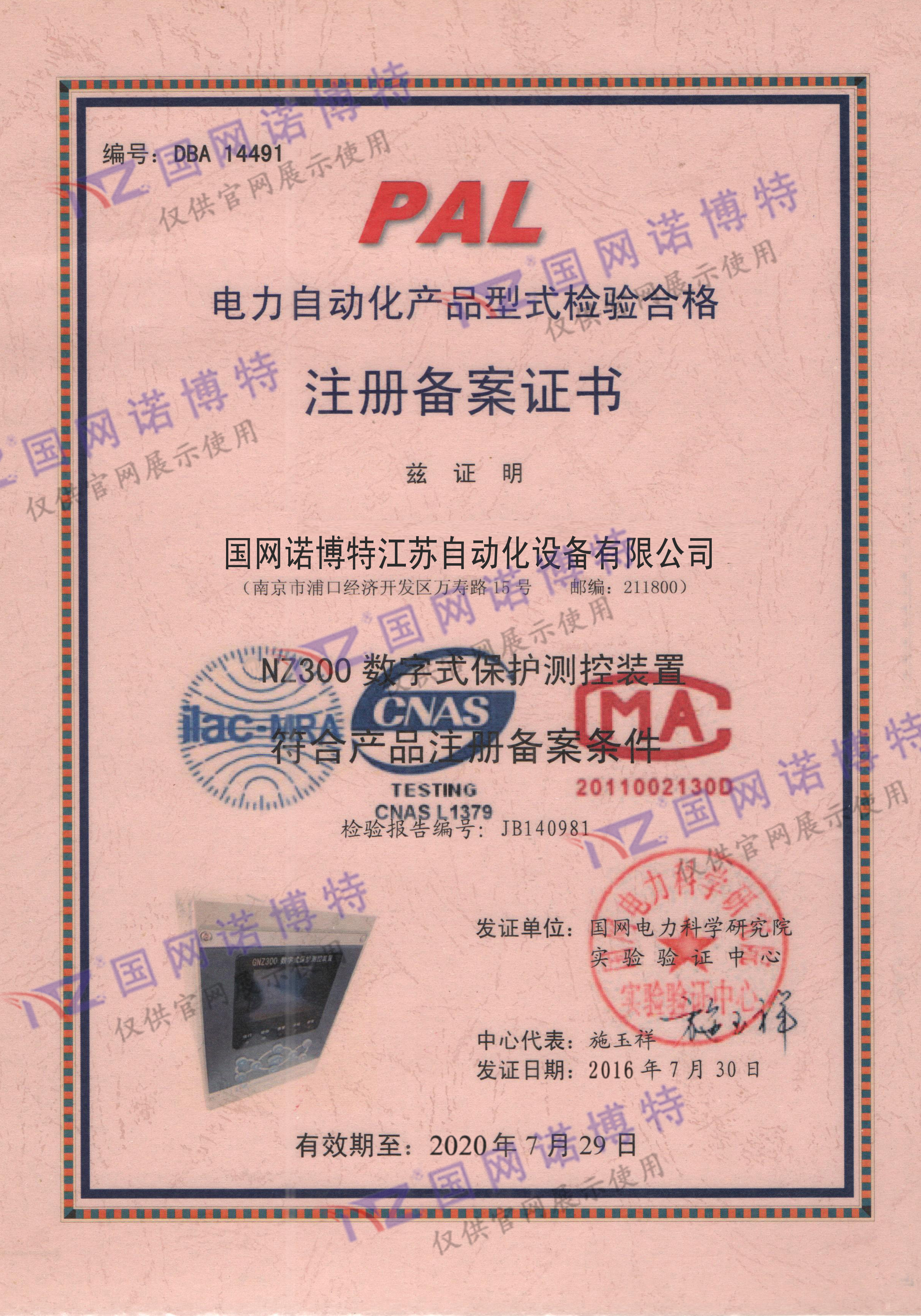 2020年-NZ300 PAL 證書